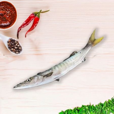 Sheealavu (Barracuda Yellow Tail)