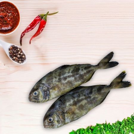 Butter Fish