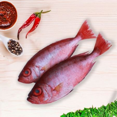 Chempally/Finned Bullseye